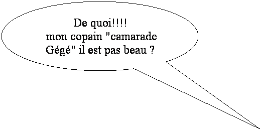 Bulle ronde: De quoi!!!!
 mon copain "camarade Gg" il est pas beau ?
