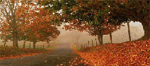 Saison Automne