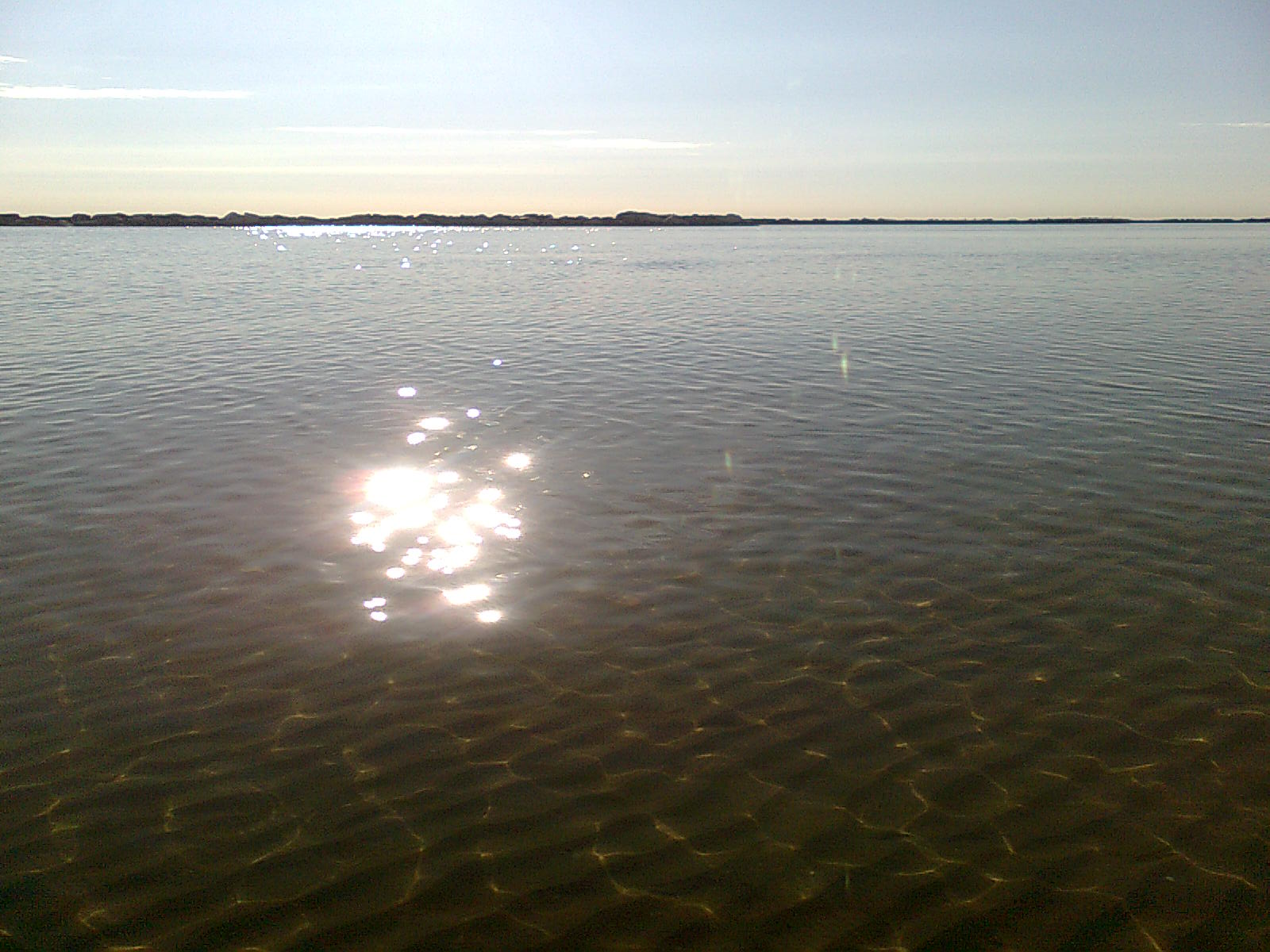 description image 7